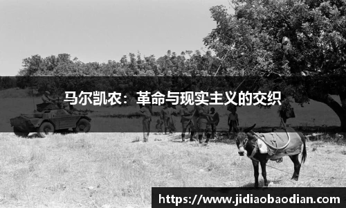 lewin乐玩最新地址
