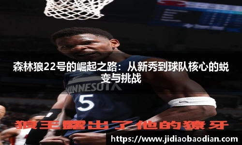 森林狼22号的崛起之路：从新秀到球队核心的蜕变与挑战